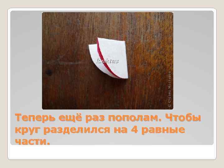 Теперь ещё раз пополам. Чтобы круг разделился на 4 равные части. 