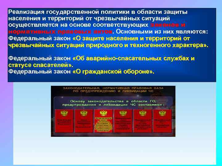 Реализация государственной политики в области защиты населения и территорий от чрезвычайных ситуаций осуществляется на