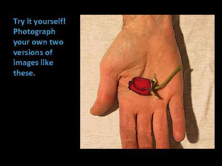 Try it yourself! Photograph your own two versions of images like these. 