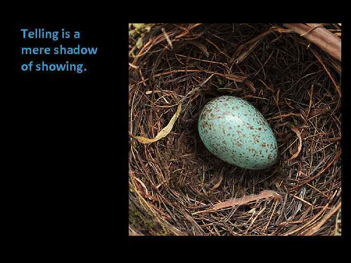 Telling is a mere shadow of showing. 