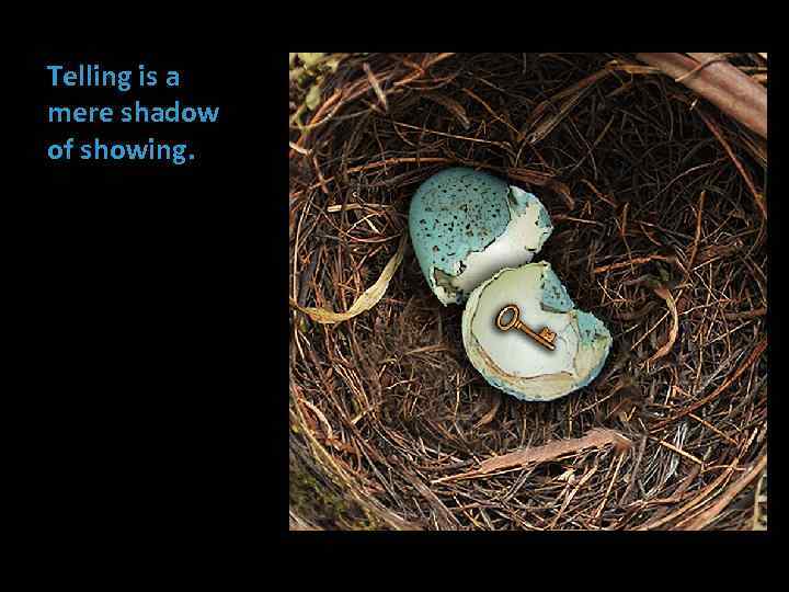 Telling is a mere shadow of showing. 