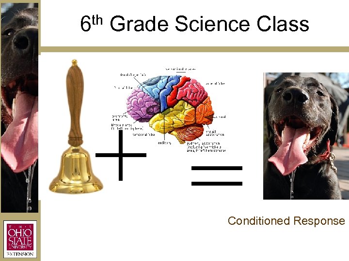 th 6 Grade Science Class + = Conditioned Response 