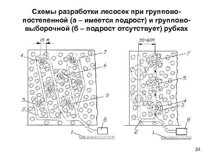 Схема разработки лесосеки харвестером и форвардером при сплошной рубке