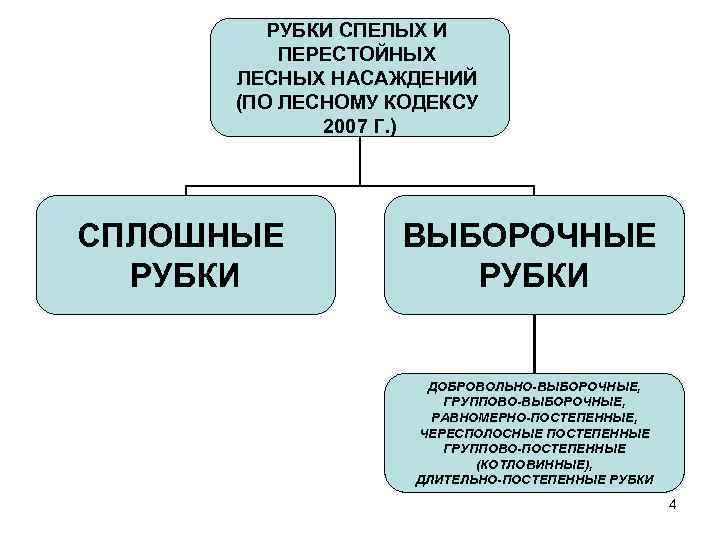 РУБКИ СПЕЛЫХ И ПЕРЕСТОЙНЫХ ЛЕСНЫХ НАСАЖДЕНИЙ (ПО ЛЕСНОМУ КОДЕКСУ 2007 Г. ) СПЛОШНЫЕ РУБКИ