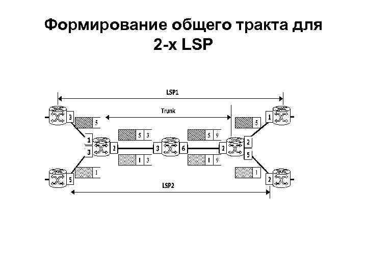 Формирование общего тракта для 2 -х LSP 