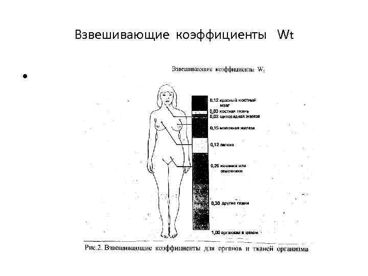 Взвешивающие коэффициенты Wt • 