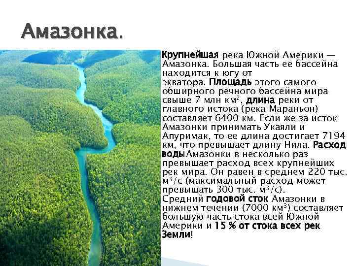 Положение реки амазонка относительно других природных объектов. Опишем бассейн реки Амазонка. Исток амазонки Южной Америки.