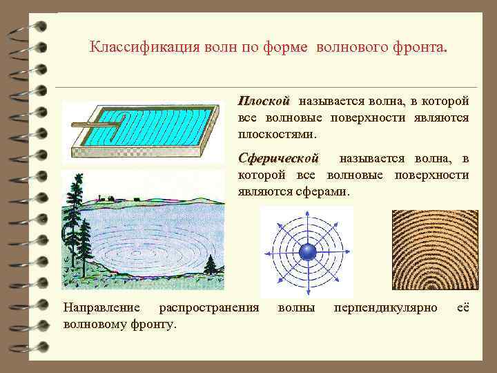 Division 2 форма волны как получить