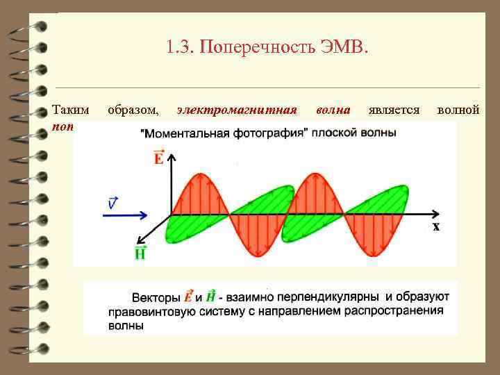 1. 3. Поперечность ЭМВ. Таким образом, поперечной. электромагнитная волна является волной 