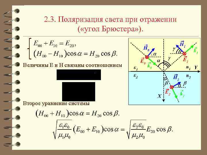 2. 3. Поляризация света при отражении ( «угол Брюстера» ). Величины E и Н