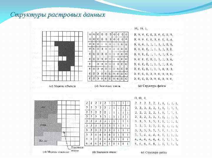 Структуры растровых данных 