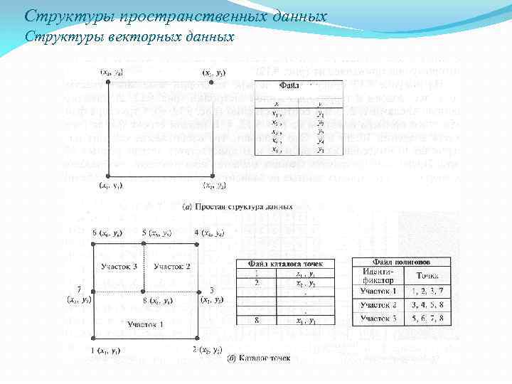 Структуры пространственных данных Структуры векторных данных 