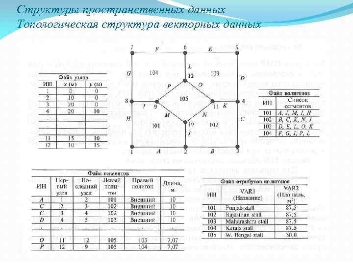 Структуры пространственных данных Топологическая структура векторных данных 