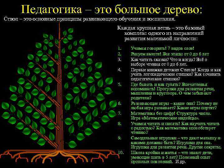 Педагогика – это большое дерево: Ствол – это основные принципы развивающего обучения и воспитания.
