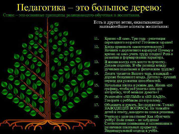 Педагогика – это большое дерево: Ствол – это основные принципы развивающего обучения и воспитания.