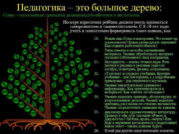 Педагогика – это большое дерево: Ствол – это основные принципы развивающего обучения и воспитания.