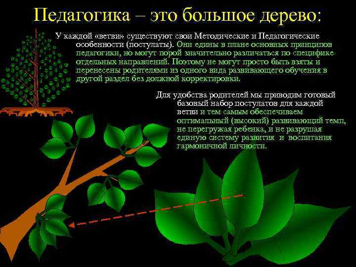 Педагогика – это большое дерево: У каждой «ветви» существуют свои Методические и Педагогические особенности