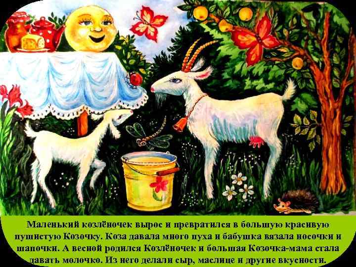 Маленький козлёночек вырос и превратился в большую красивую пушистую Козочку. Коза давала много пуха