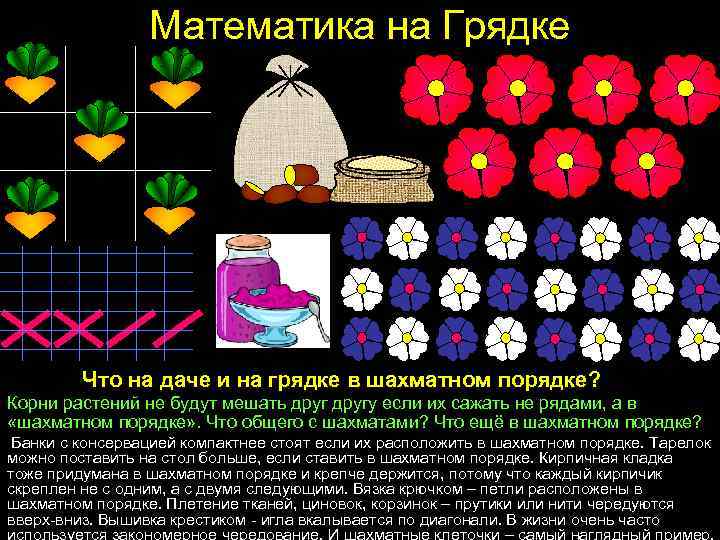 Математика на Грядке Что на даче и на грядке в шахматном порядке? Корни растений