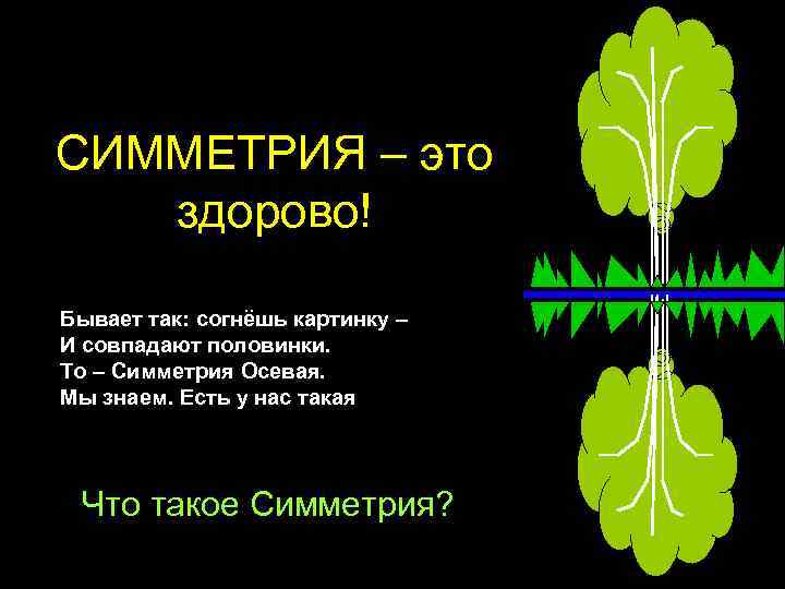 СИММЕТРИЯ – это здорово! Бывает так: согнёшь картинку – И совпадают половинки. То –