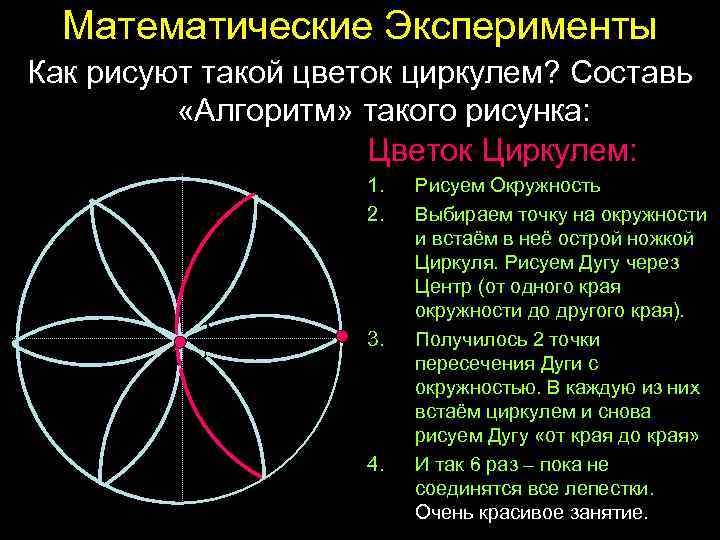 Математические Эксперименты Как рисуют такой цветок циркулем? Составь «Алгоритм» такого рисунка: Цветок Циркулем: 1.