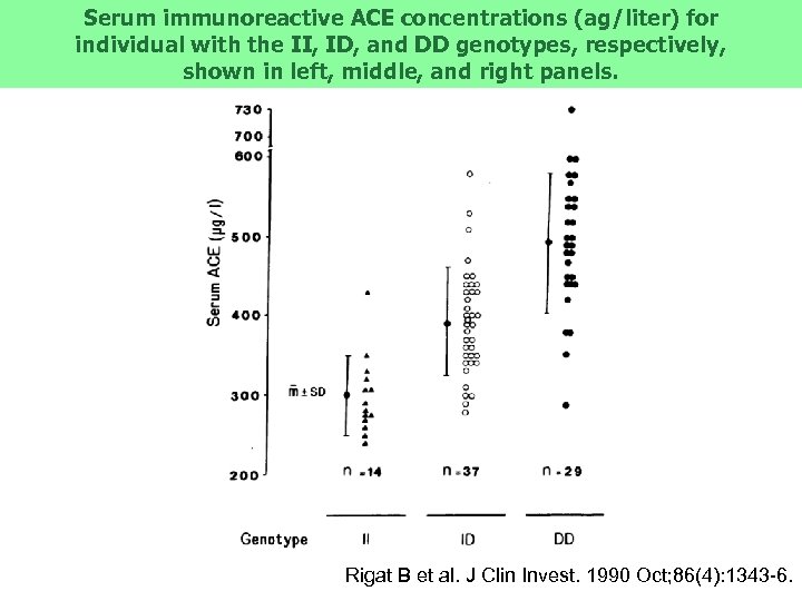 Serum immunoreactive ACE concentrations (ag/liter) for individual with the II, ID, and DD genotypes,