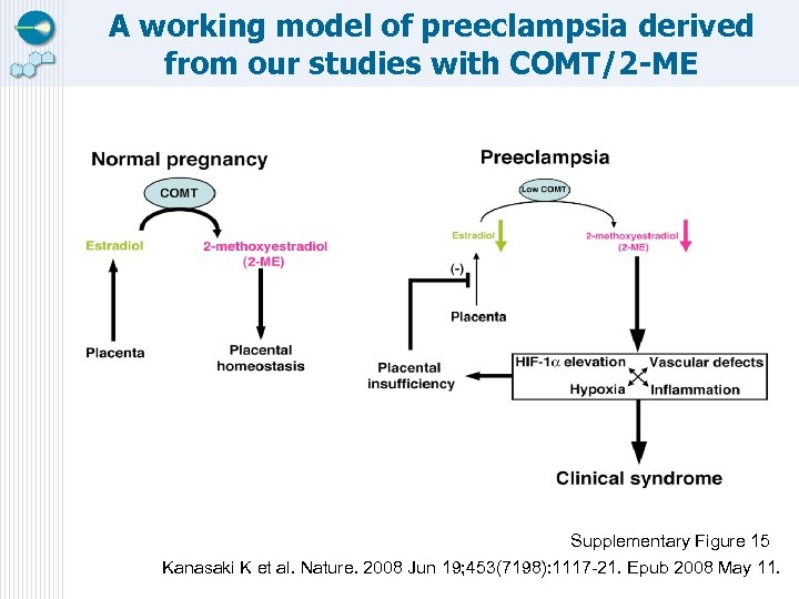 A working model of preeclampsia derived from our studies with COMT/2 -ME Supplementary Figure