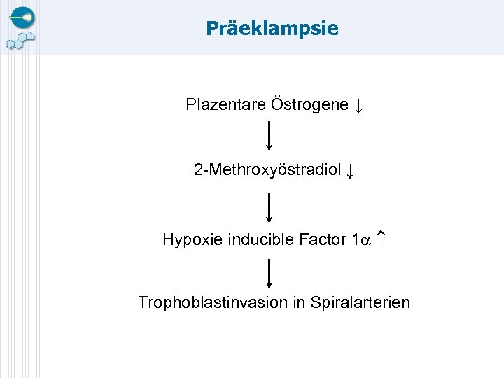 Präeklampsie Plazentare Östrogene ↓ 2 -Methroxyöstradiol ↓ Hypoxie inducible Factor 1 Trophoblastinvasion in Spiralarterien