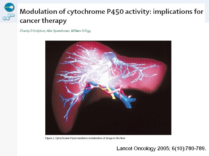 Lancet Oncology 2005; 6(10): 780 -789. 