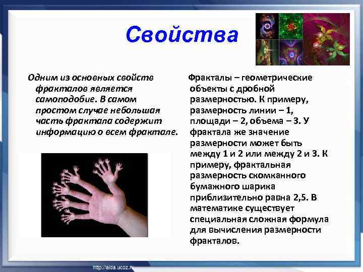 Свойства Одним из основных свойств Фракталы – геометрические фракталов является объекты с дробной самоподобие.