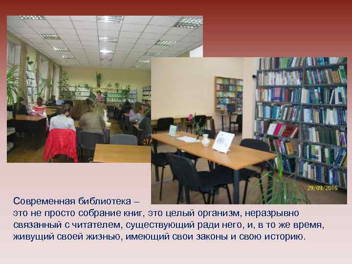 Современная библиотека – это не просто собрание книг, это целый организм, неразрывно связанный с