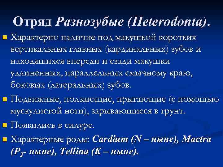 Отряд Разнозубые (Heterodonta). Характерно наличие под макушкой коротких вертикальных главных (кардинальных) зубов и находящихся