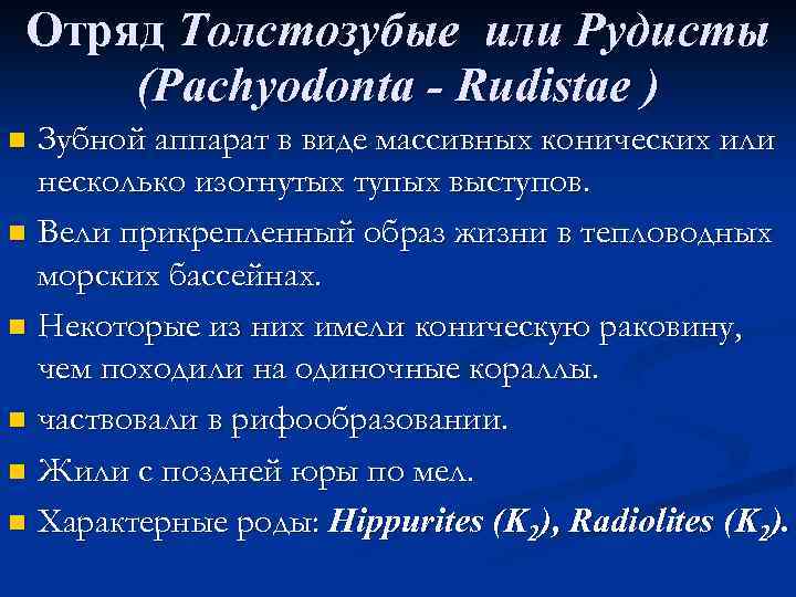 Отряд Толстозубые или Рудисты (Pachyodonta - Rudistae ) Зубной аппарат в виде массивных конических