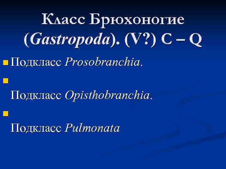 Класс Брюхоногие (Gastropoda). (V? ) С – Q n Подкласс Prosobranchia. n Подкласс Opisthobranchia.
