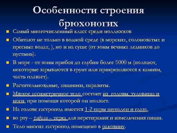 n n n n Особенности строения брюхоногих Самый многочисленный класс среди моллюсков Обитают не