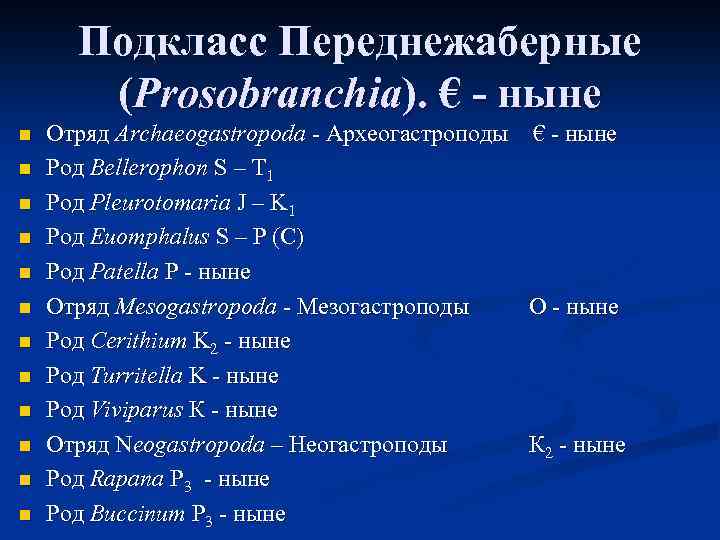 Подкласс Переднежаберные (Prosobranchia). € - ныне n n n Отряд Archaeogastropoda - Археогастроподы Род