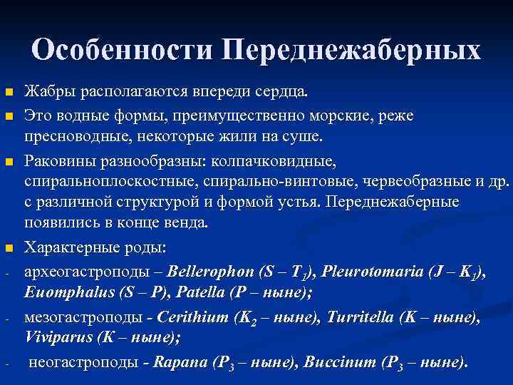 Особенности Переднежаберных n n - - - Жабры располагаются впереди сердца. Это водные формы,