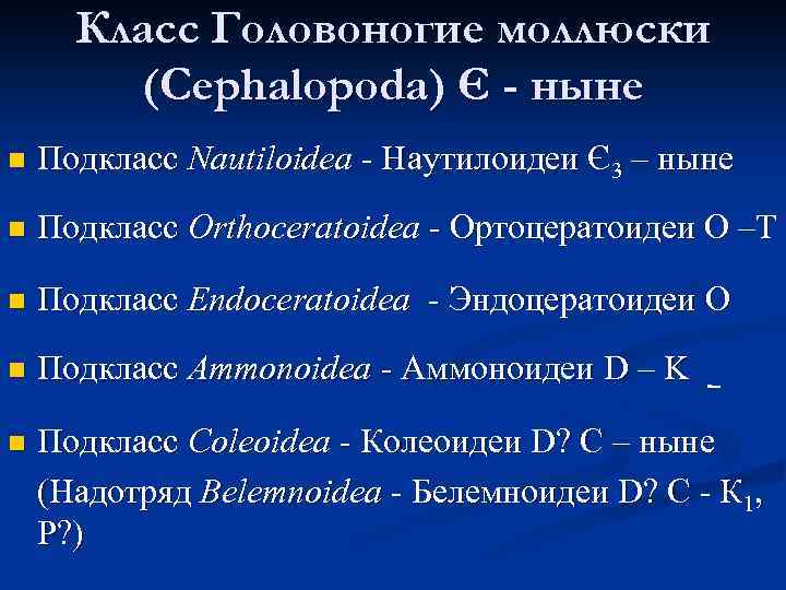 Класс Головоногие моллюски (Cephalopoda) Є - ныне n Подкласс Nautiloidea - Наутилоидеи Є3 –