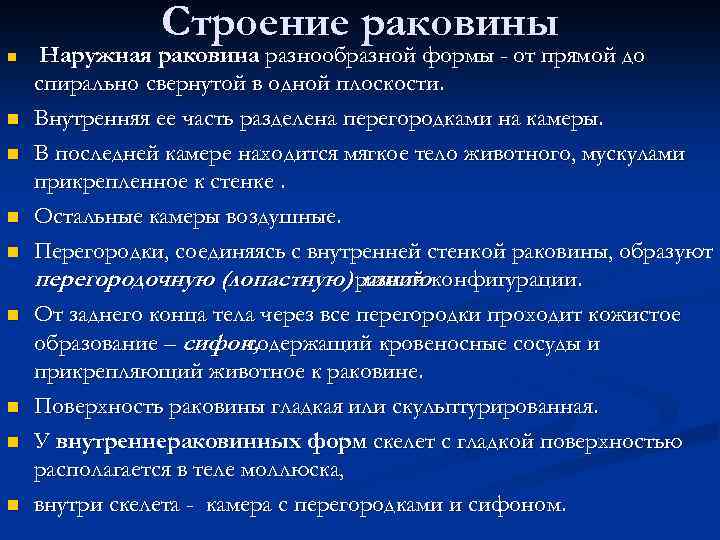 Строение раковины n n n n n Наружная раковина разнообразной формы - от прямой