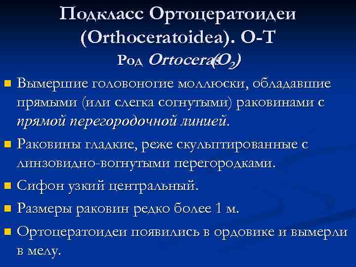 Подкласс Ортоцератоидеи (Orthoceratoidea). О-Т Род Ortoceras 2) (O Вымершие головоногие моллюски, обладавшие прямыми (или
