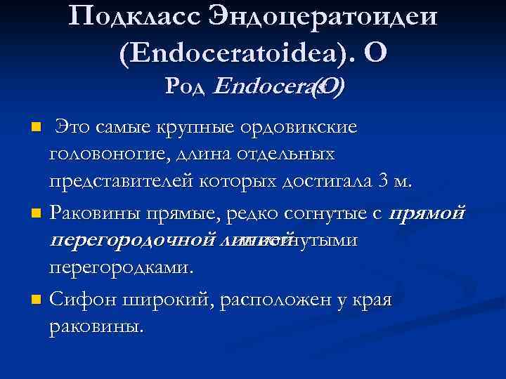 Подкласс Эндоцератоидеи (Endoceratoidea). О Род Endoceras ) (O Это самые крупные ордовикские головоногие, длина