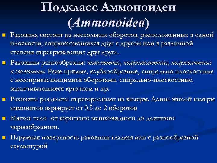 Подкласс Аммоноидеи (Аmmоnoidea) n n n Раковина состоит из нескольких оборотов, расположенных в одной