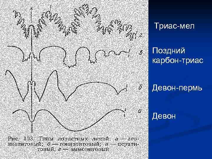 Триас-мел Поздний карбон-триас Девон-пермь Девон 