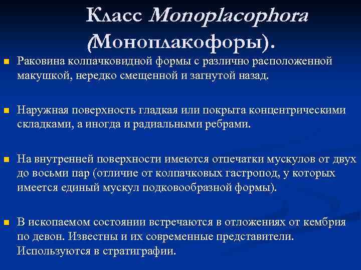 Класс Monoplacophora (Моноплакофоры). n Раковина колпачковидной формы с различно расположенной макушкой, нередко смещенной и