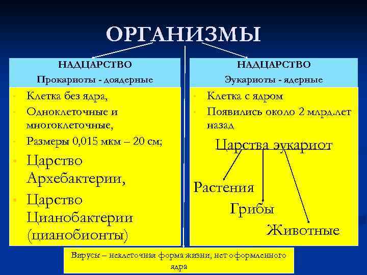 ОРГАНИЗМЫ НАДЦАРСТВО Прокариоты - доядерные • • • Клетка без ядра, Одноклеточные и многоклеточные,