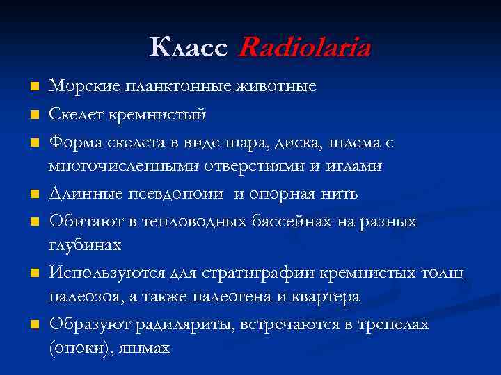 Класс Radiolaria n n n n Морские планктонные животные Скелет кремнистый Форма скелета в
