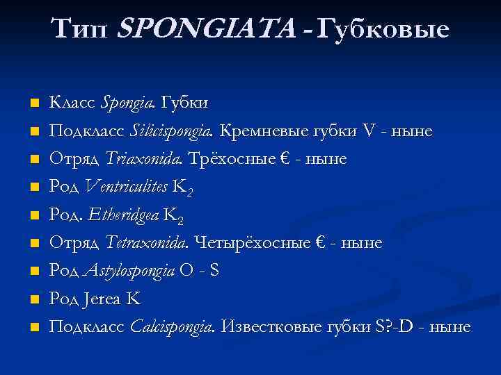 Тип SPONGIATA - Губковые n n n n n Класс Spongia. Губки Подкласс Silicispongia.