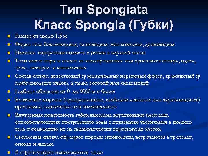 Тип Spongiata Класс Spongia (Губки) n n n n n Размер от мм до