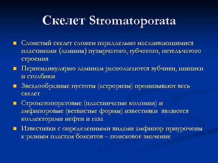 Скелет Stromatoporata n n n Слоистый скелет сложен параллельно наслаивающимися пластинами (ламины) пузырчатого, губчатого,