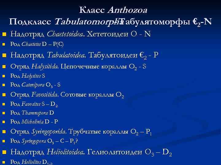 Класс Anthozoa Подкласс Tabulatomorpha - Табулятоморфы € 2 -N n Надотряд Chaetetoidea. Хететоидеи O